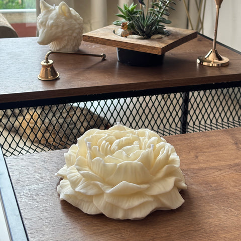 Vela aromática Rosa XL